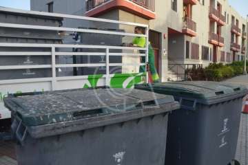 Parques y Jardines elimina en Salinetas el árbol que ensuciaba los recipientes de basura (Foto TA)